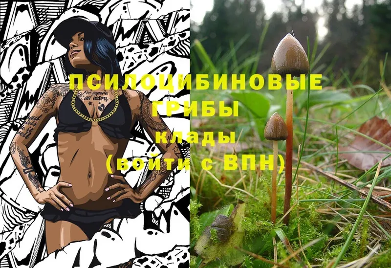 Псилоцибиновые грибы MAGIC MUSHROOMS  Байкальск 